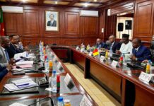 Et si la migration devenait un moteur de croissance pour le Cameroun