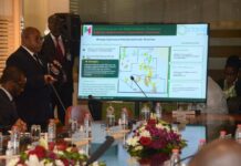 23,3 milliards de Fcfa d’engagement financier pour explorer une zone maritime de 381,56 km² dans le bassin du Rio del Rey