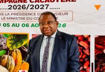 Bilan de la campagne cacaoyère 2025/2026 au Cameroun et priorités pour la prochaine