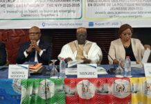 Le Cameroun recherche 386,1 milliards de Fcfa pour financer son Plan Jeunesse 2025-2030