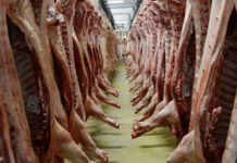 Au Cameroun, la Foire du porc prévue en décembre offre un marché de 231 milliards de Fcfa