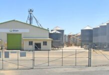 En Côte d’Ivoire, Olam Agri se renforce dans l’hévéa avec une nouvelle acquisition