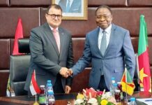Le Cameroun présente des opportunités dans les secteurs de l’énergie et des PME à ses partenaires égyptiens