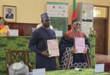 Le Cameroun et AfricaRice lancent une initiative de 246,7 millions de FCFA pour renforcer la production rizicole