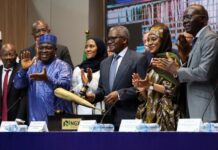 Au Nigeria, Aliko Dangote lance la plus grande introduction en Bourse africaine