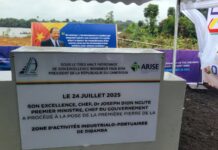 Dibamba Douala Port Logistics Platform ouvre de pourparlers de financement du projet (160 milliards de FCFA) avec AFG Bank