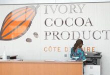 En Côte d’Ivoire, ICP obtient plus de 13 milliards de Fcfa pour renforcer ses capacités dans le segment de la transformation du cacao