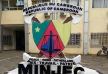 90 millions de Fcfa dans un nouveau centre de formation pour la jeunesse à Foumbot