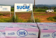Au Gabon, la Sucaf traverse une situation financière « très menacée » et appelle l’État au secours