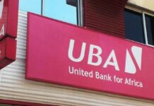 De lourdeurs administratives foncières entravent la construction du siège régional du Groupe UBA au Cameroun