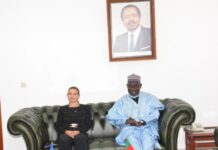 L’UE prévoit une subvention de 32,8 milliards de FCFA pour le secteur de l’énergie au Cameroun en 2027