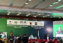 Le Cameroun en voie de décrocher 253,1 milliards de FCFA d’accords avec la BID