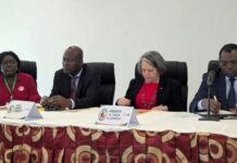 Le Cameroun et le Canada explorent les liens commerciaux et d’investissement via les réseaux de la diaspora
