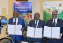 Le Cameroun veut investir 1 120 milliards de Fcfa pour réduire les importations alimentaires de 28 % d’ici 2030