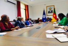 Camrail appelé à accélérer les contrats ferroviaires pour le corridor Douala-N’Djamena
