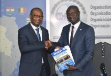 Le Cameroun œuvre à la mise en œuvre effective d’un statut juridique simplifié pour les entrepreneurs