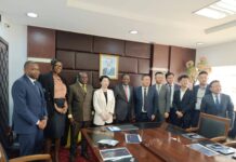 Huawei propose ses solutions numériques pour moderniser le secteur électrique camerounais