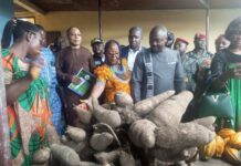 Le Cameroun promeut le modèle coopératif pour renforcer les entreprises des femmes en milieu rural