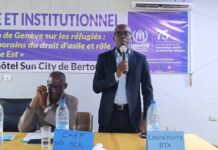 Le Cameroun en quête de débouchées professionnelles pour 135 réfugiés centrafricains