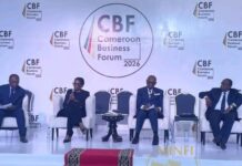 Le Cameroun mise sur les garanties bancaires pour faciliter l’accès au crédit aux jeunes et aux femmes entrepreneures