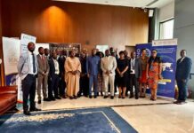 Vers la mise en place d’un cadre unique pour coordonner les produits d’investissement destinés à la diaspora camerounaise