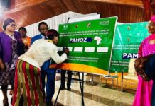 Le Cameroun lance un projet commercial lié à la ZLECAf pour les petits commerçants transfrontaliers