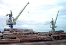 Le terminal à bois de Douala affiche un déficit de 4 milliards de Fcfa