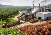 Le Cameroun recherche des investisseurs pour développer un complexe agro-industriel de 40 millions de dollars dans l’Extrême-Nord